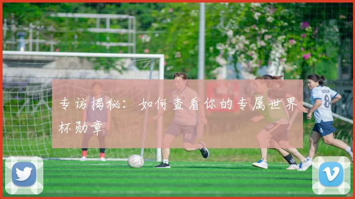 专访揭秘:如何查看你的专属世界杯勋章