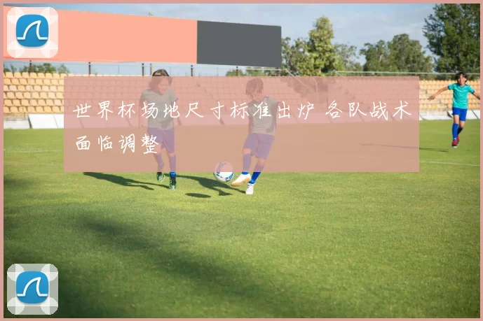 世界杯场地尺寸标准出炉 各队战术面临调整
