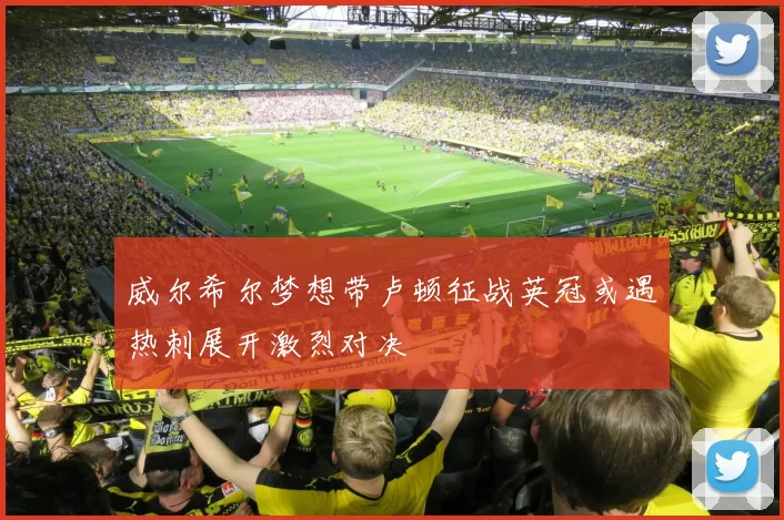 威尔希尔梦想带卢顿征战英冠或遇热刺展开激烈对决