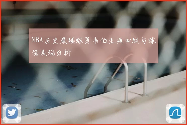 NBA历史最矮球员韦伯生涯回顾与球场表现分析