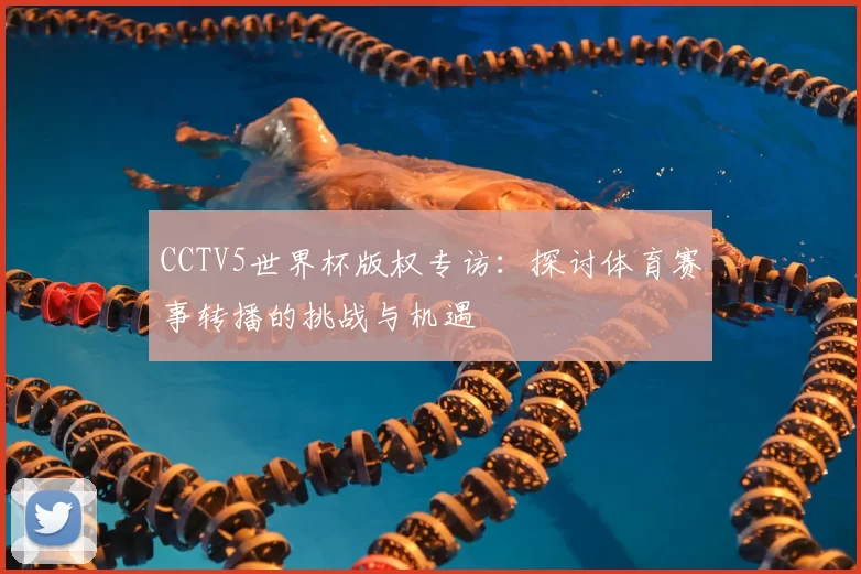 CCTV5世界杯版权专访：探讨体育赛事转播的挑战与机遇