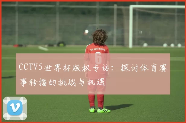 CCTV5世界杯版权专访：探讨体育赛事转播的挑战与机遇