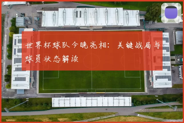世界杯球队今晚亮相:关键战局与球员状态解读