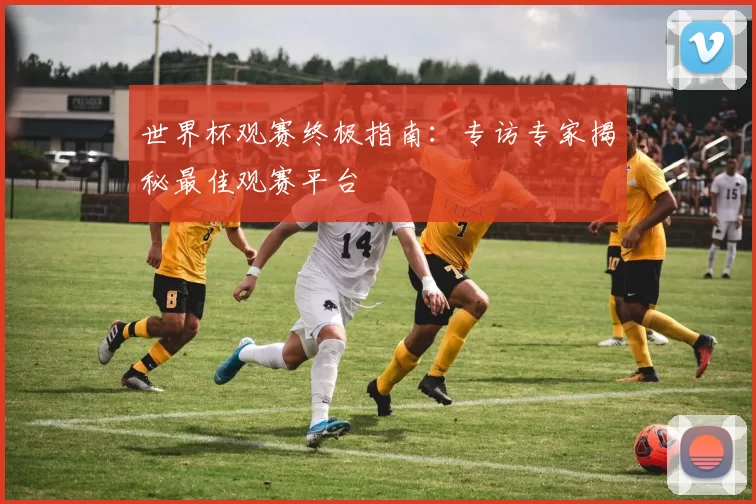 世界杯观赛终极指南：专访专家揭秘最佳观赛平台