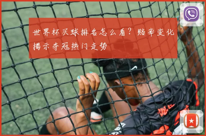 世界杯买球排名怎么看?赔率变化揭示夺冠热门走势