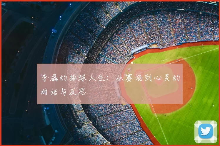 李磊的排球人生:从赛场到心灵的对话与反思