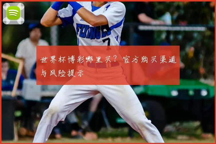 世界杯博彩哪里买?官方购买渠道与风险提示
