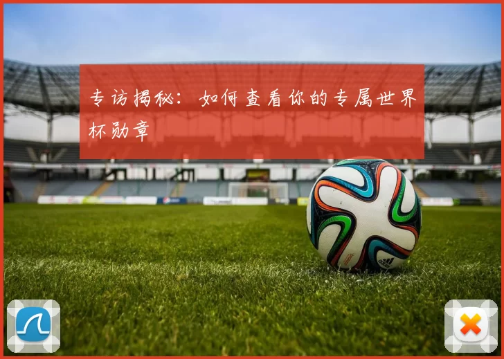 专访揭秘：如何查看你的专属世界杯勋章