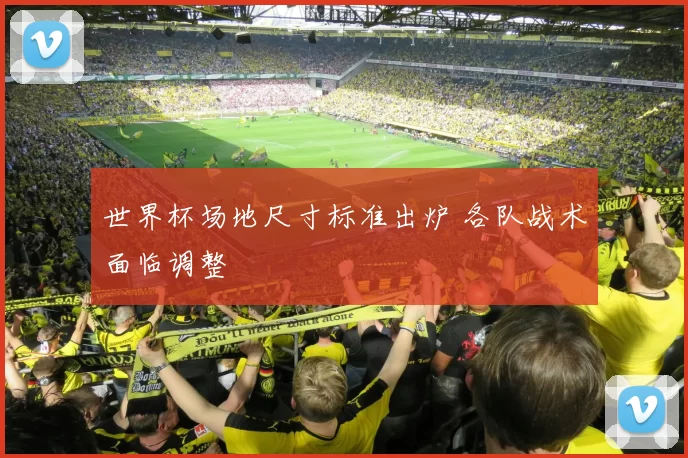 世界杯场地尺寸标准出炉 各队战术面临调整